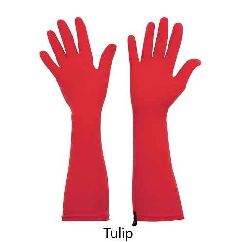 Tulip