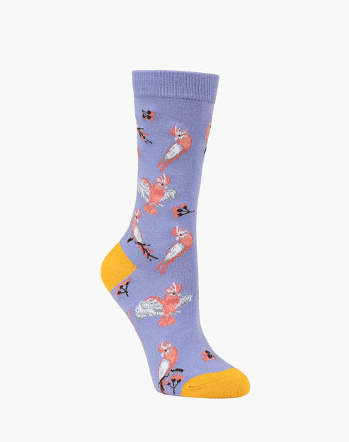 sock coupons minimalist -  Galahs Women's Bamboo Crew Socks