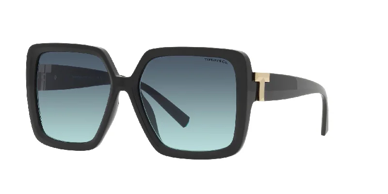 sunglasses for snowy roads -  Tiffany TF4206U