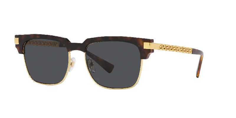 sunglasses for snowy rolls -  Versace VE4447